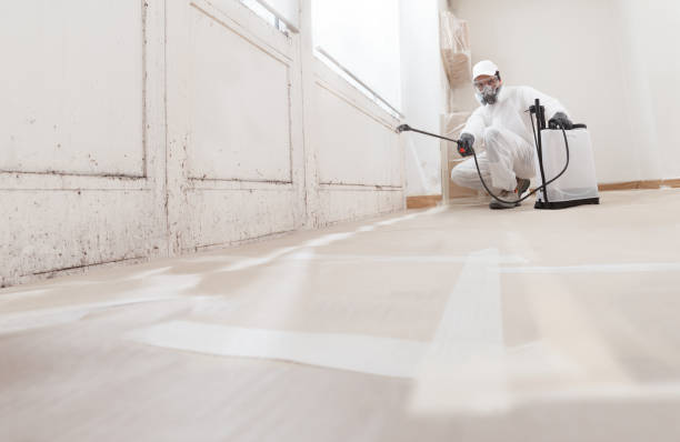 24/7 Emergency Attic Mold Remediation experts in Bridgewater, VA